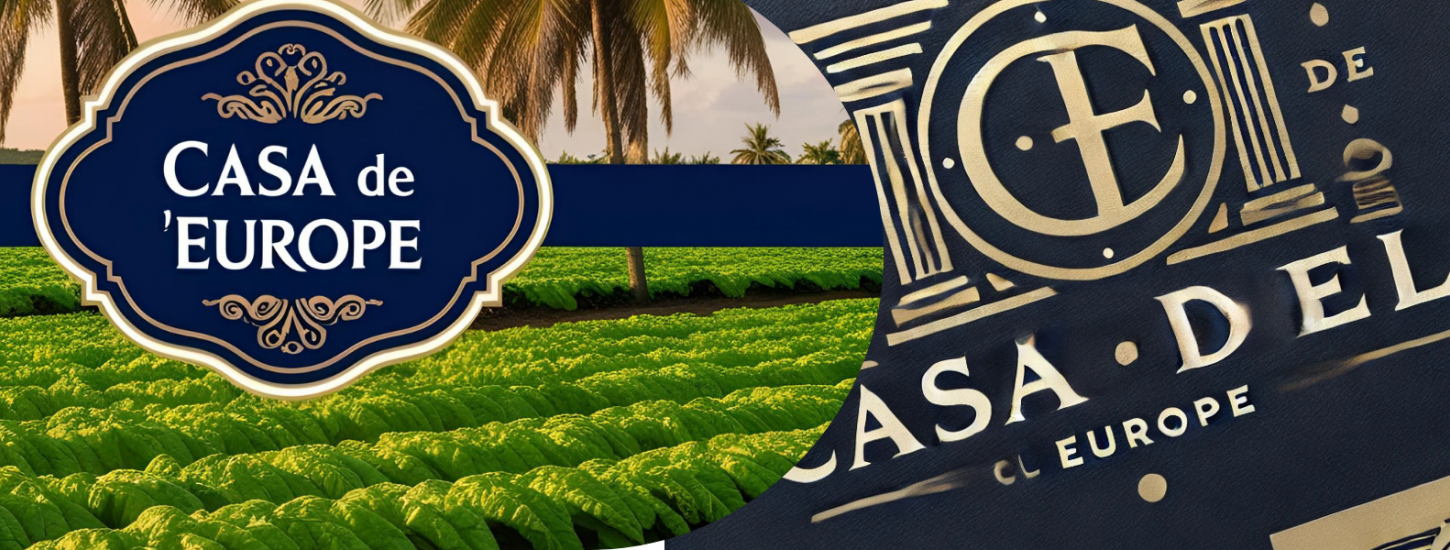 casadeleurope-istanbul puro