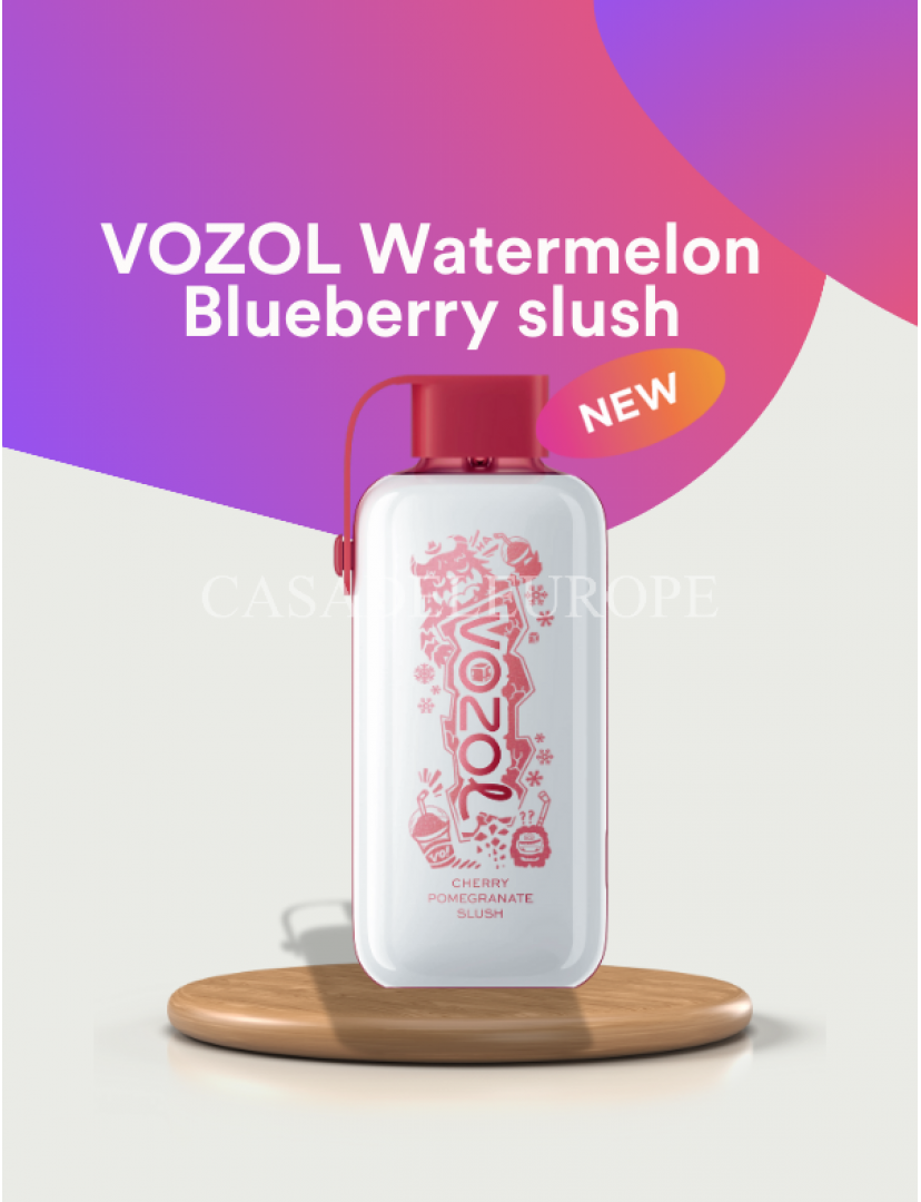 Watermelon Blueberry Slush